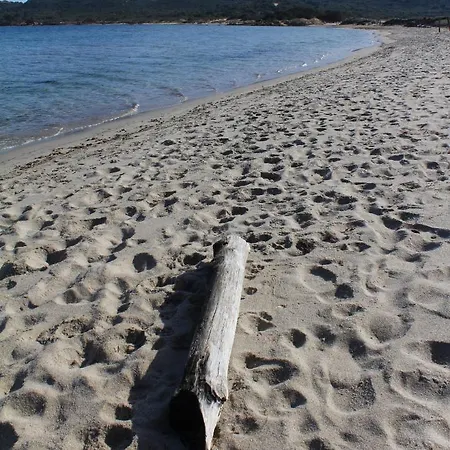 Marina Maria Beach *